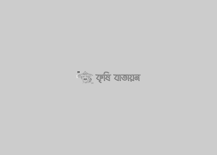 জাতীয় মৌ মেলা ২০২০ঃ ১৭ থেকে ১৯ ফেব্রুয়ারি