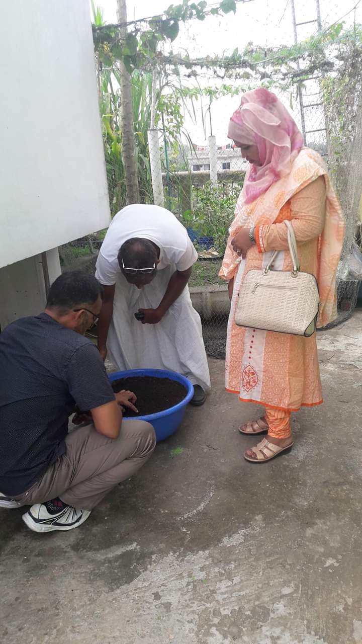 Vermivompost at rooftop